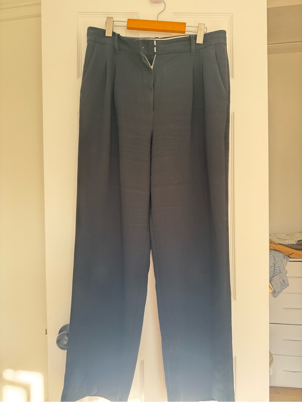 Aritzia Black Wide-Leg Pleated Trousers